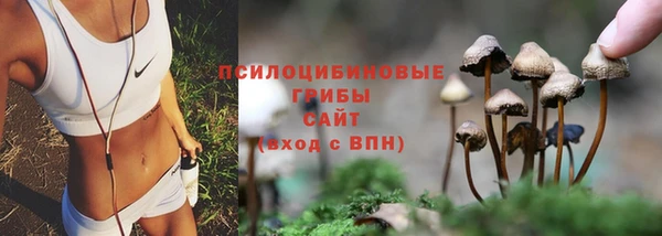 тгк Баксан