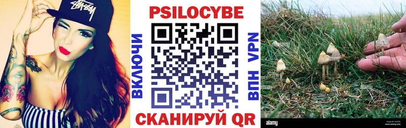 Псилоцибиновые грибы прущие грибы Сатка